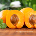 Gesunde Snacks in großen Größen Aprikosennüsse mit hohem Nährwert